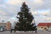 Работы по установке главной новогодней ёлки района велись на прошлой неделе