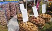Брянский картофель в программе импортозамещения: высокое качество и низкая цена