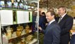 Дмитрий Медведев посетил экспозицию Брянской области на «Золотой осени»