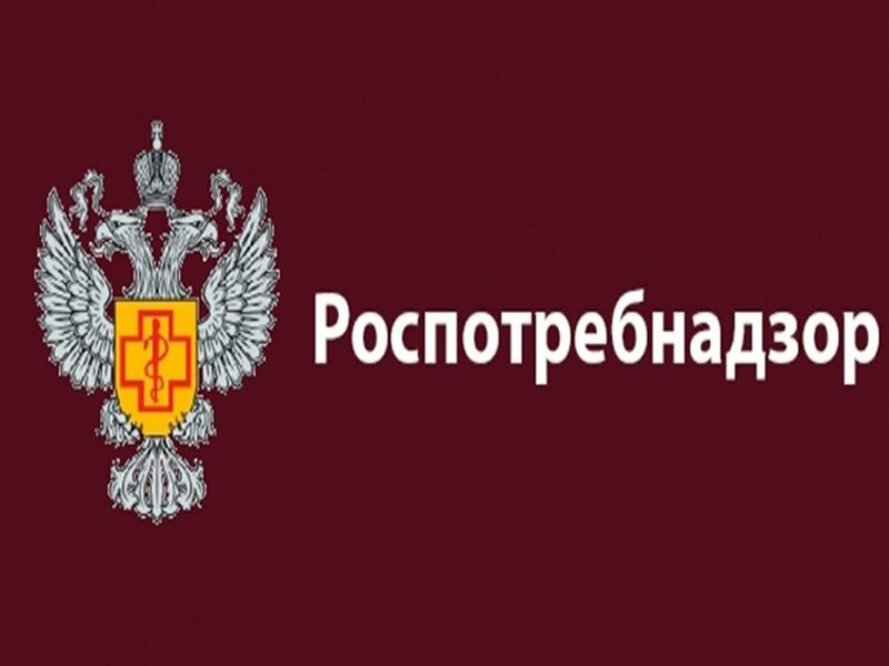    МЫТЬ ИЛИ НЕ МЫТЬ: ПРАВИЛА ОБРАБОТКИ ОВОЩЕЙ И ФРУКТОВ. САНИТАРНАЯ БЕЗОПАСНОСТЬ ПИЩИ