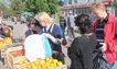 В Брянской области начнут работу ярмарки выходного дня