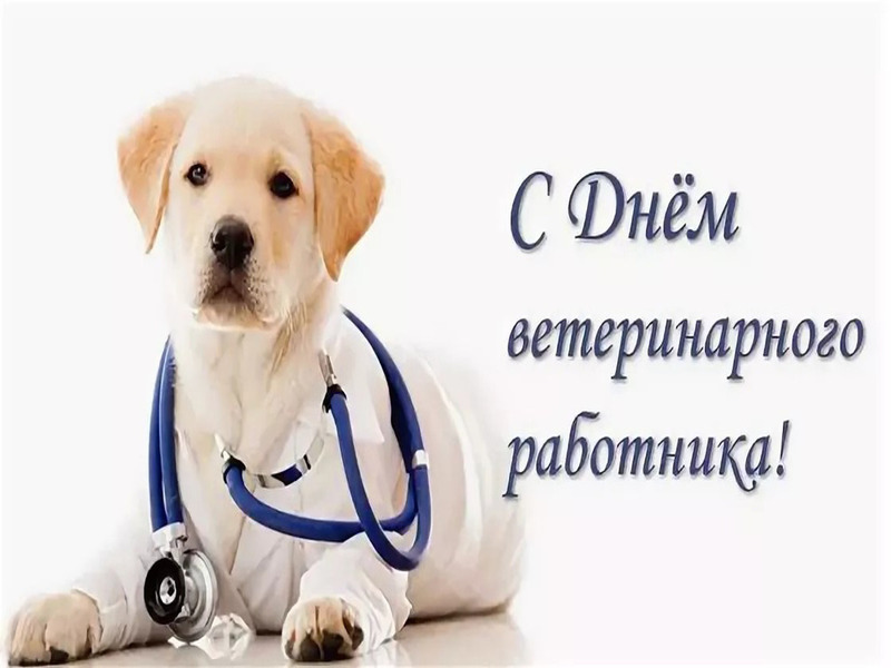 a1083b6f1ebdeae3b0cacfa989fbeff1.jpg a1083b6f1ebdeae3b0cacfa989fbeff1.jpg